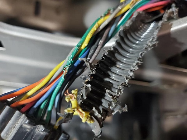 Lighting / Auto Electrical